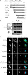 FIG 1