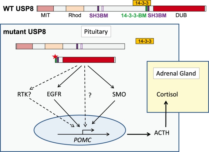 Figure 2.