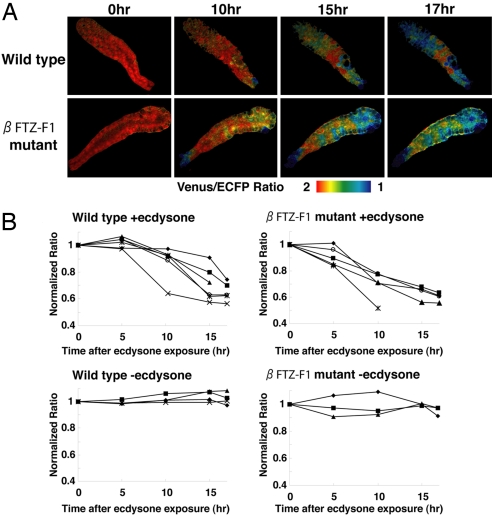 Fig. 6.