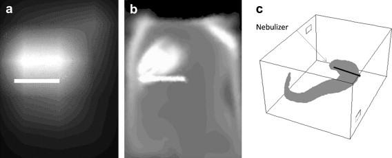 Fig. 7