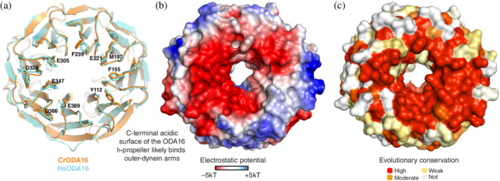 FIGURE 4