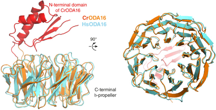 FIGURE 3