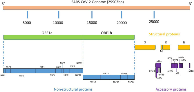 Figure 1