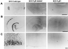 FIG. 8