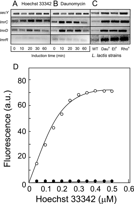 FIG. 4.