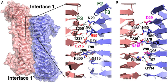 Figure 2.