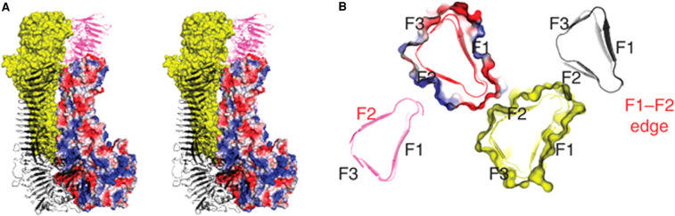 Figure 3.