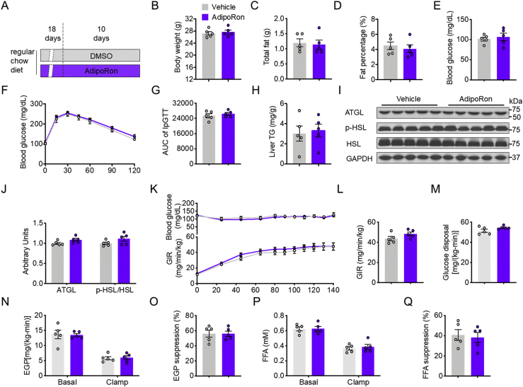 Supplemental Figure S1