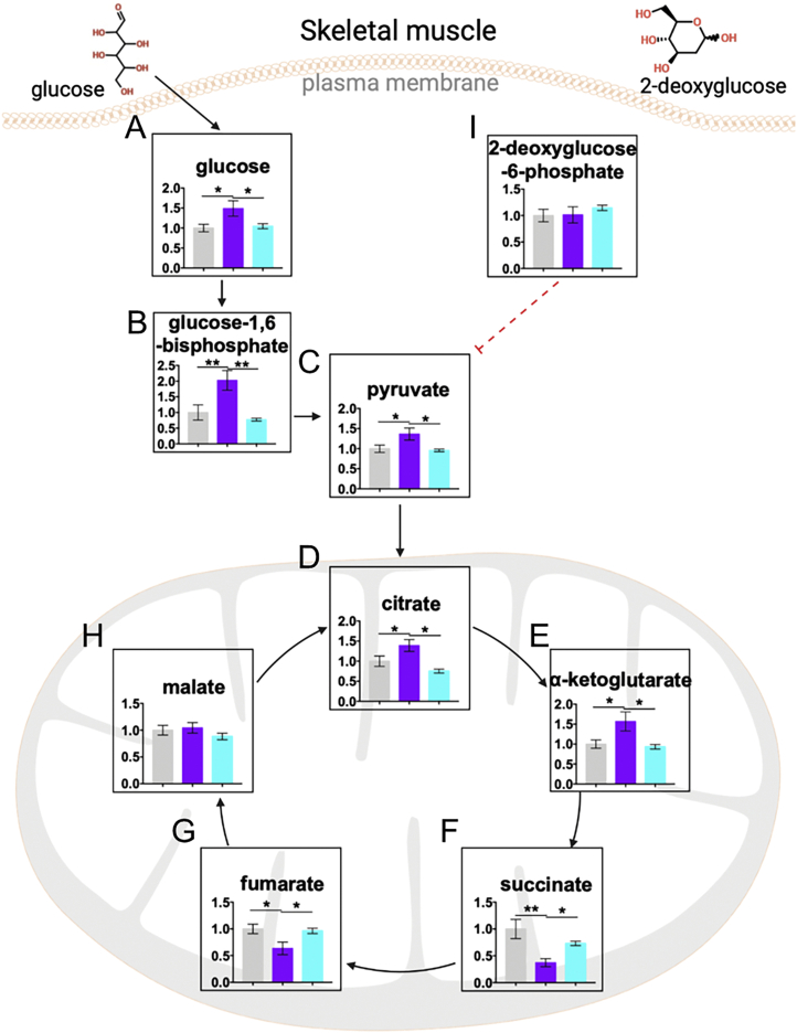 Supplemental Figure S3