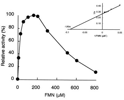 FIG. 5