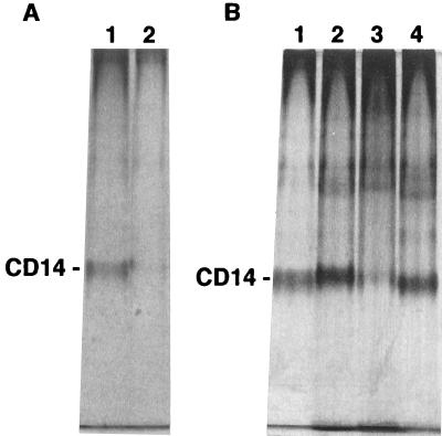 FIG. 10