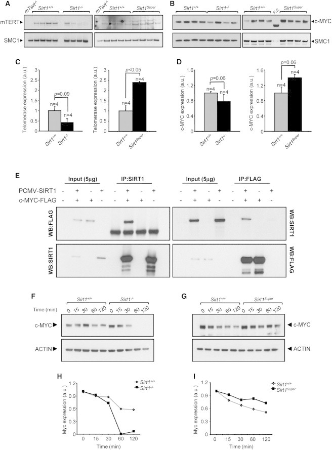 Figure 5