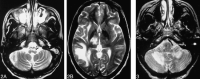 <sc>fig</sc> 2.