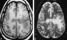 <sc>fig</sc> 1.