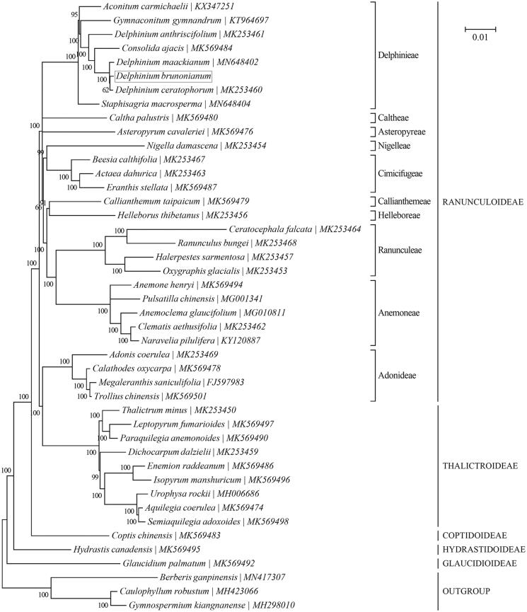 Figure 1.