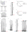 Extended Data Fig. 8 |