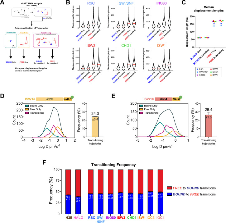 Figure 3—figure supplement 1.