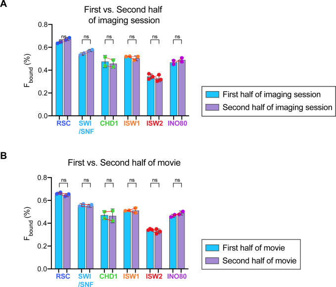 Figure 1—figure supplement 3.