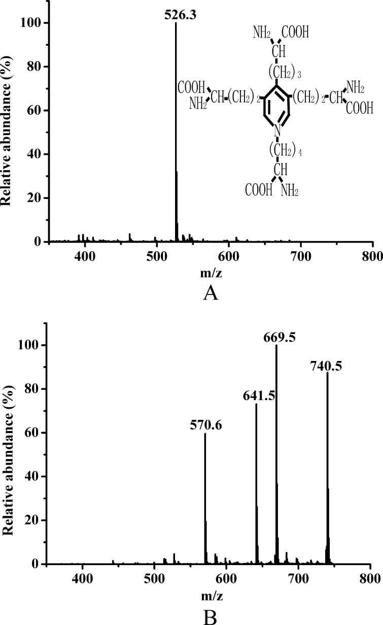 FIGURE 4.