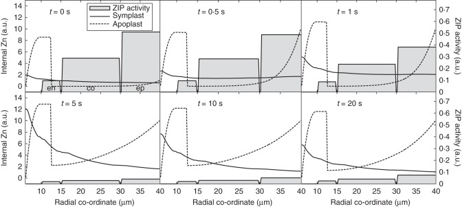 Fig. 7.