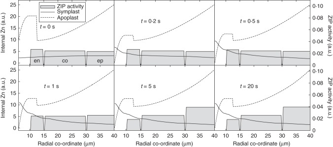 Fig. 8.