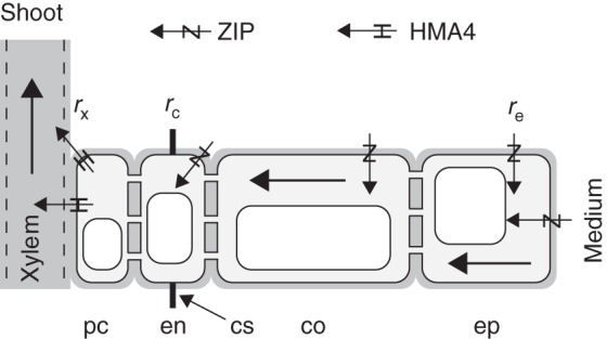 Fig. 1.