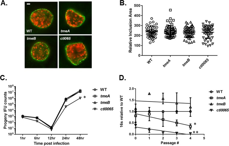 FIG 1