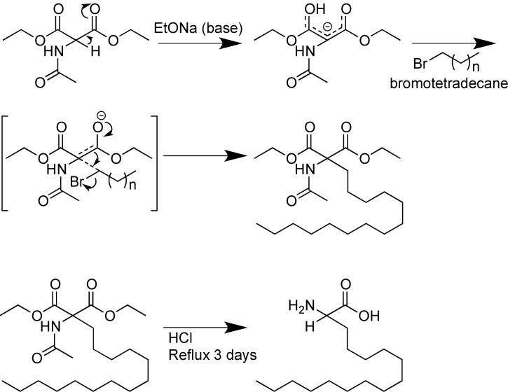 Scheme 4