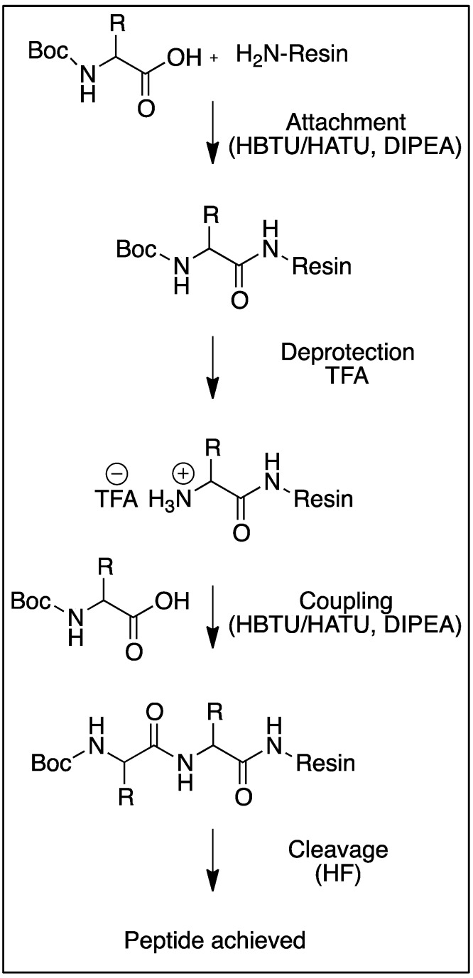 Scheme 2