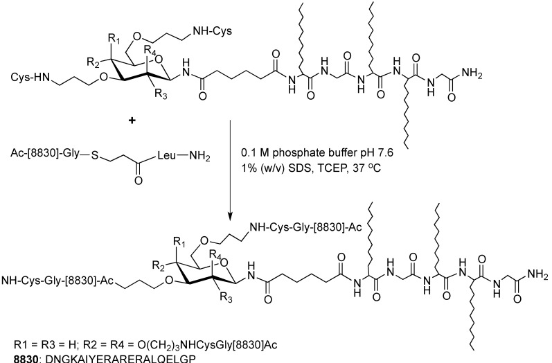 Scheme 3