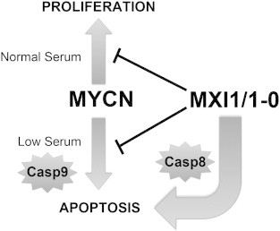 Figure 10