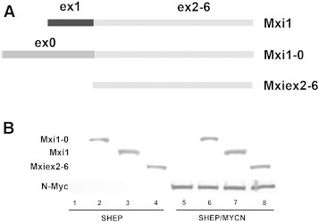 Figure 2