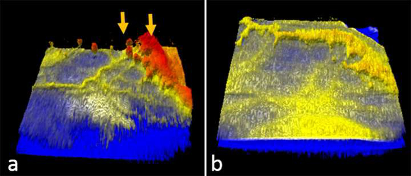 Figure 3: