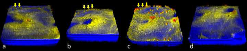 Figure 4: