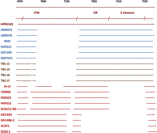 Figure 3