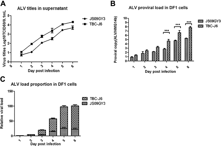 Figure 4