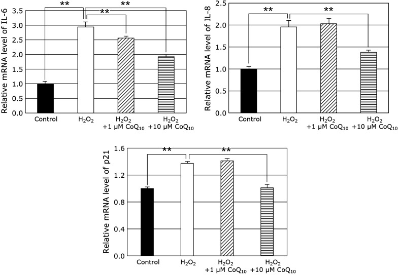 Fig. 4.