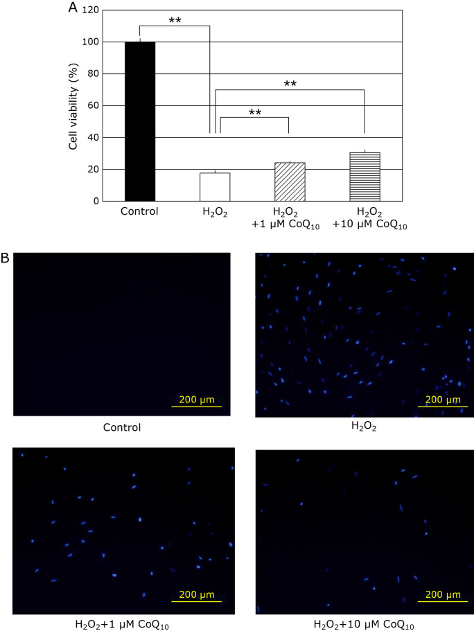 Fig. 1.