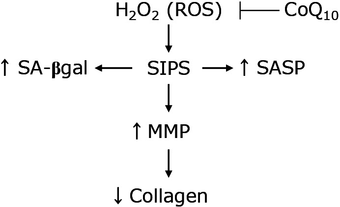 Fig. 6.