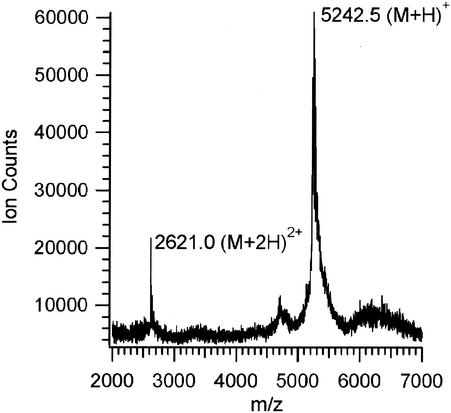 FIG. 3.