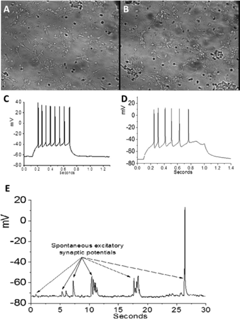 FIG. 4.