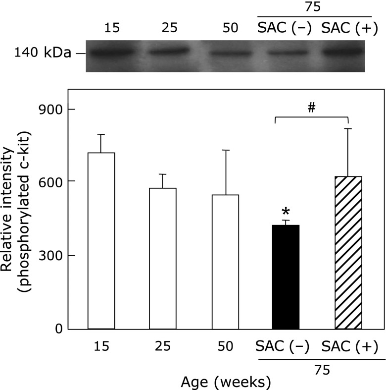 Fig. 7