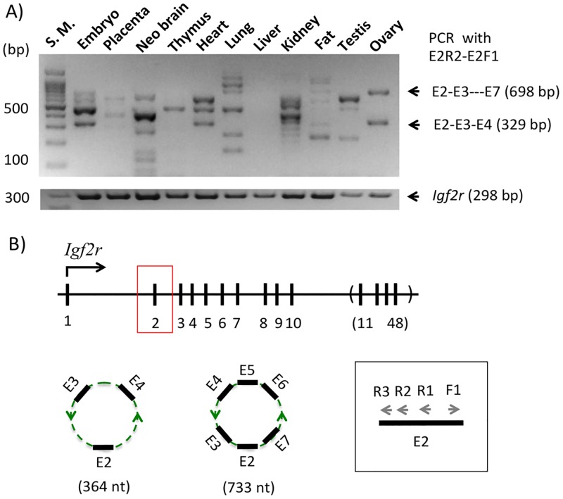 Fig 4