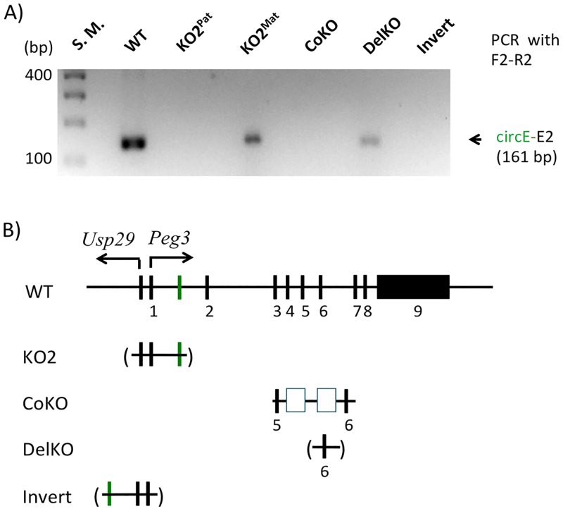 Fig 3