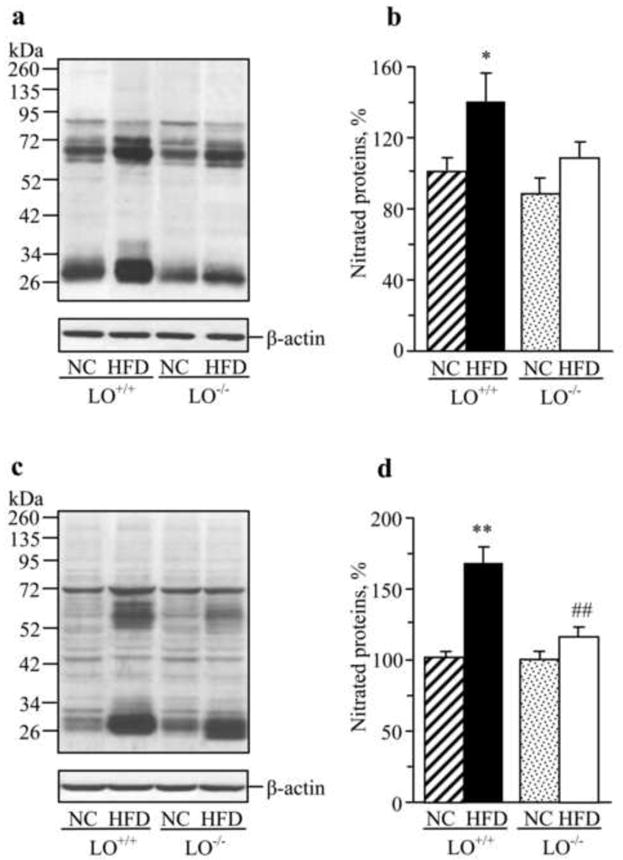 Fig.6