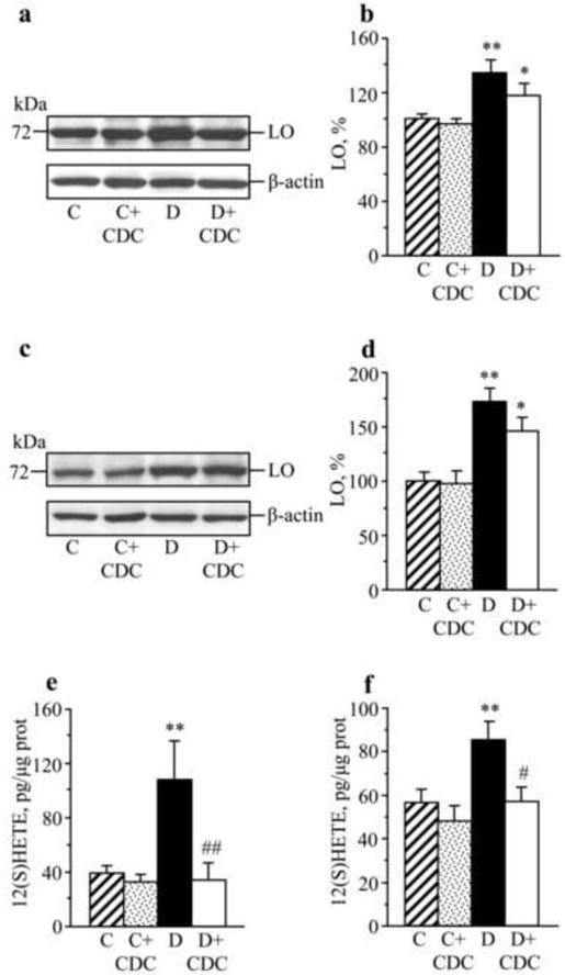 Fig.3