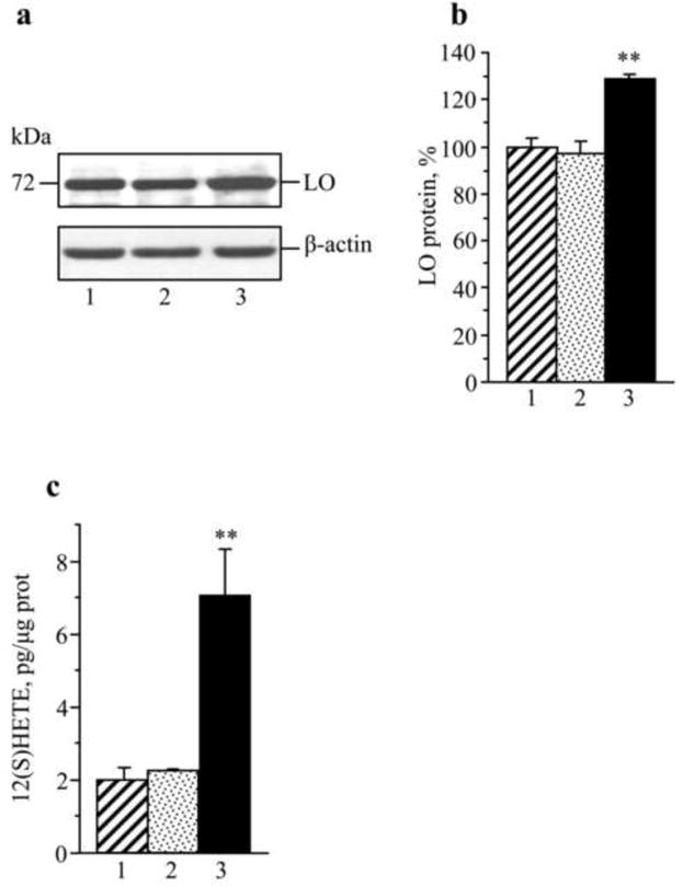 Fig.8