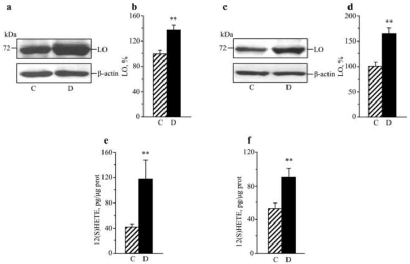 Fig.2
