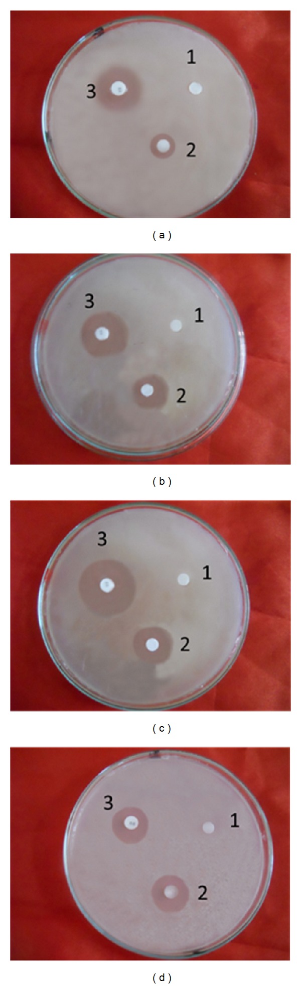 Figure 4