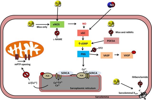 Figure 6